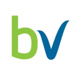 Bolehvpn.net