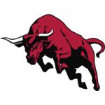 Bull Miners