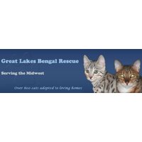 Great Lakes Bengal Rescue