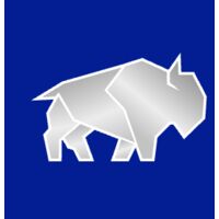 LegalBison.com - Crypto Company / Licenses