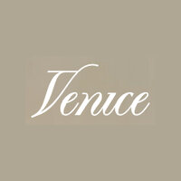 Venice AI