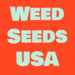 Weed Seeds USA