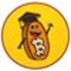 Bitcoin Problogger