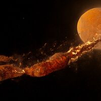 Crypto Moon