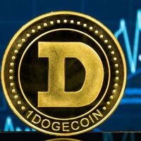 DOLGECOINX TEAM