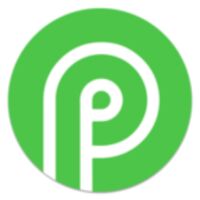 payid19